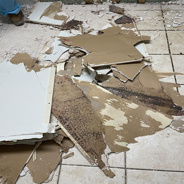 Mold Inspection and Mold Remediation Experts in Hicksville NY