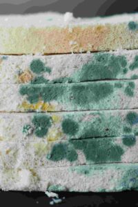 Mold Inspection and Mold Remediation in Melville NY