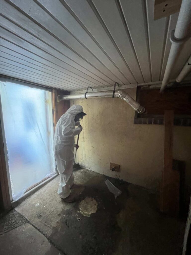 Mold Removal 24/7 Commack NY