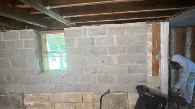 Mold Inspection and Remediation in Ronkonkoma NY