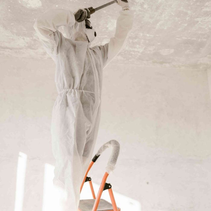 Mold Inspection Dix Hills NY, Mold Remediation Dix Hills NY